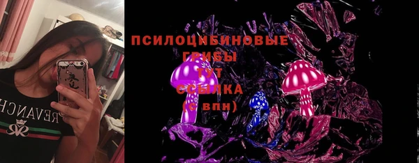 шишки Абаза