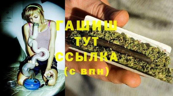 шишки Абаза