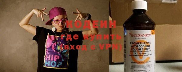 шишки Абаза