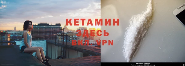 шишки Абаза
