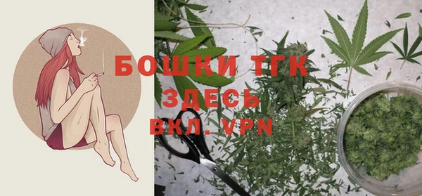шишки Абаза