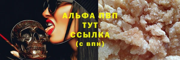шишки Абаза