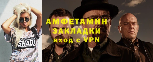 шишки Абаза