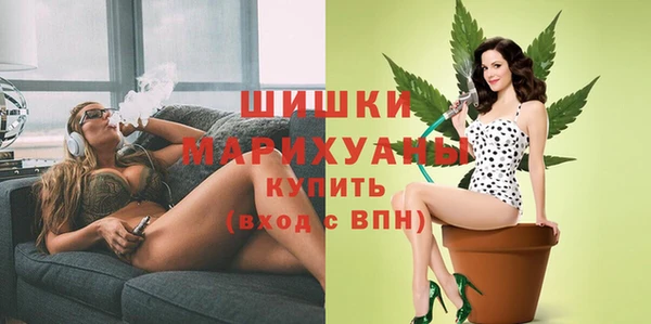 шишки Абаза