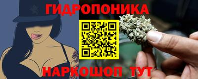 прущие грибы Ярцево