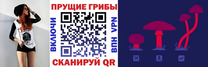 Псилоцибиновые грибы ЛСД  купить наркоту  Северодвинск 