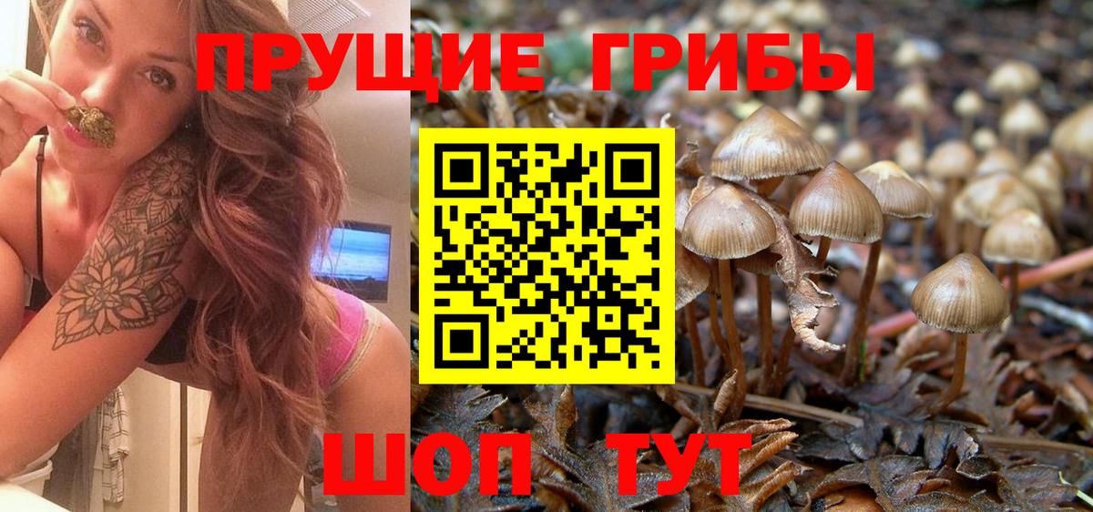 Галлюциногенные грибы прущие грибы  Вход с VPN  Северодвинск 